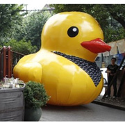 inflatable duck balloon advertising